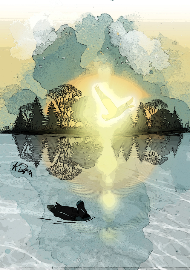 A hattyú és a réce